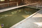 Lavoir de ST PIERRE DE CERNIERES