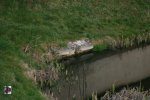 Lavoir de TOURNY