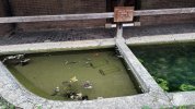 Lavoir de ECOS