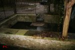 Lavoir de LE THUIT