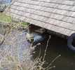 Lavoir de HOUETTEVILLE
