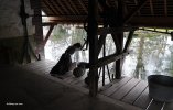 Lavoir de ST REMY SUR AVRE