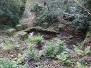 Lavoir de COMBRIT