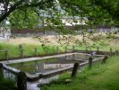 Lavoir de SCAER