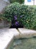 Lavoir de LE RELECQ KERHUON