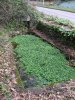 Lavoir de GUIPAVAS
