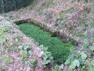 Lavoir de GUIPAVAS