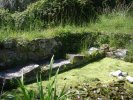 Lavoir de PRIMELIN
