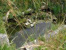Lavoir de PRIMELIN