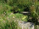 Lavoir de LANNILIS