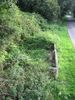 Lavoir de GUIMAEC