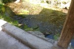 Lavoir de JUZET DE LUCHON