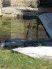 Lavoir de ST ESTEPHE