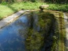 Lavoir de VERTHEUIL