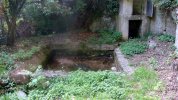 Lavoir de ST QUENTIN DE CAPLONG