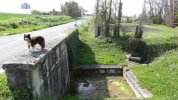 Lavoir de ST SEURIN DE CURSAC