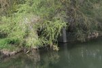 Lavoir de PALLUAU SUR INDRE