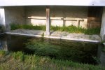 Lavoir de PALLUAU SUR INDRE