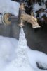 Lavoir de ST THEOFFREY