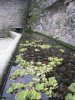 Lavoir de PARMILIEU