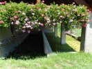 Lavoir de VEZERONCE CURTIN