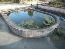 Lavoir de TAXENNE
