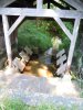 Lavoir de ST JULIEN EN BORN