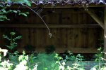 Lavoir de UZA
