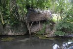 Lavoir de SARGE SUR BRAYE