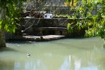 Lavoir de LANDES LE GAULOIS