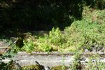 Lavoir de FIX ST GENEYS