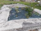 Lavoir de CRAPONNE SUR ARZON