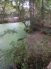 Photo envoyée par VIOT le 29/09/2019 à 12h03