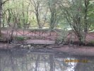 Lavoir de ST LYPHARD