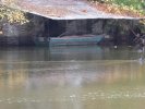 Photo envoyée par MariePierre le 23/11/2016 à 18h17