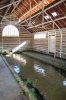 Lavoir de DOUCHY