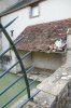 Lavoir de CHATILLON COLIGNY