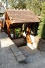 Lavoir de CHATILLON SUR LOIRE
