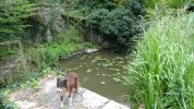 Lavoir de CHECY