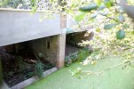 Lavoir de ST BENOIT SUR LOIRE