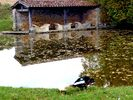Lavoir de SAILLAC