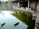 Lavoir de LIMOGNE EN QUERCY