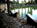 Lavoir de LIMOGNE EN QUERCY