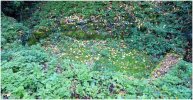 Lavoir de FARGUES