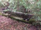 Lavoir de MONTCUQ