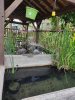Lavoir de ST MAURIN