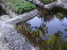 Photo envoyée par revilio le 07/12/2016 à 02h59