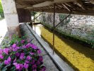 Lavoir de LE VIEIL BAUGE
