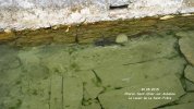 Lavoir de CHARCE ST ELLIER SUR AUBA