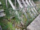 Lavoir de ST SATURNIN SUR LOIRE